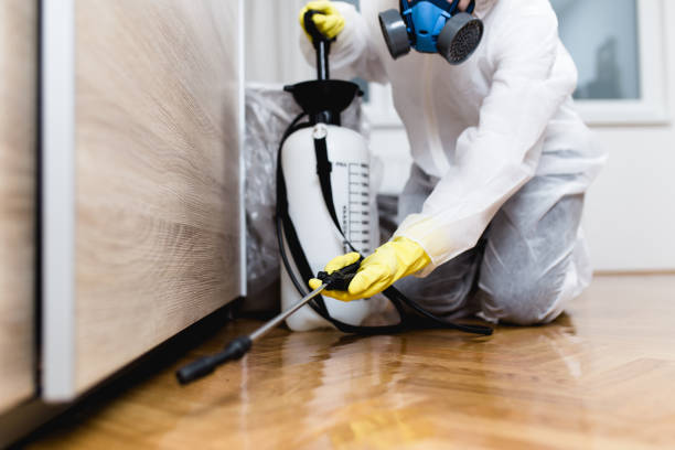 Best Affordable Pest Control Services  in Ravenel, SC