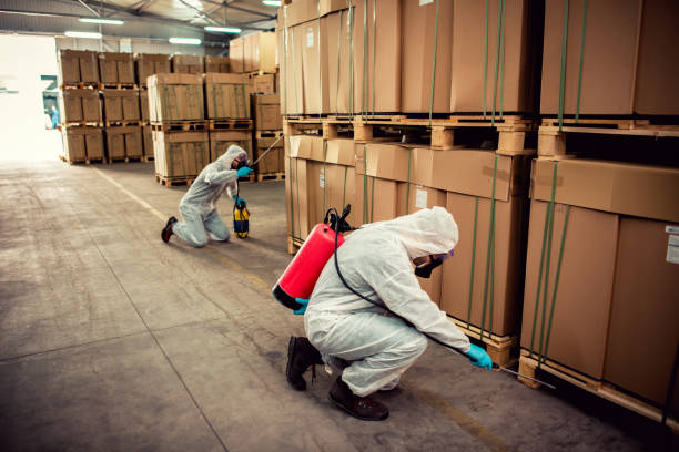 Best Best Pest Control Companies  in Ravenel, SC