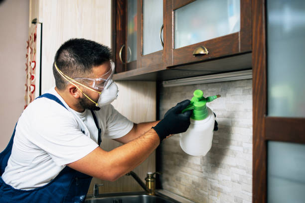 Pest Control Cost in Ravenel, SC