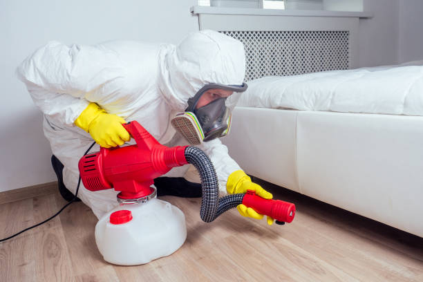 Best Affordable Pest Control Services  in Ravenel, SC