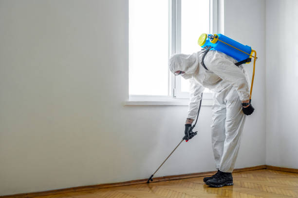 Best Flea Control Services  in Ravenel, SC