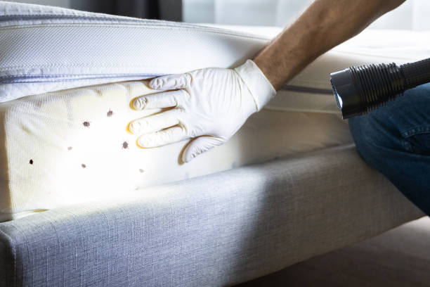 Best Exterminator Services  in Ravenel, SC