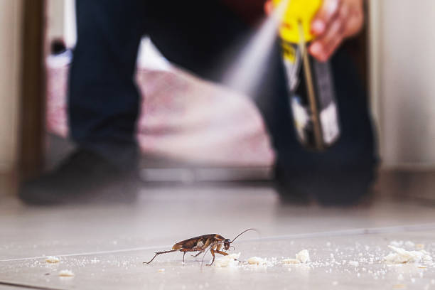 Best Commercial Pest Control Services  in Ravenel, SC