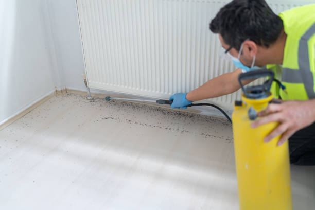 Best Pest Prevention Services  in Ravenel, SC