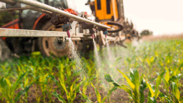 Best Mosquito Control Services  in Ravenel, SC